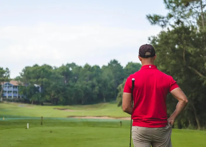 Renovee, * Seignosse