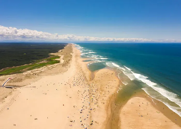 Renovee, * Seignosse