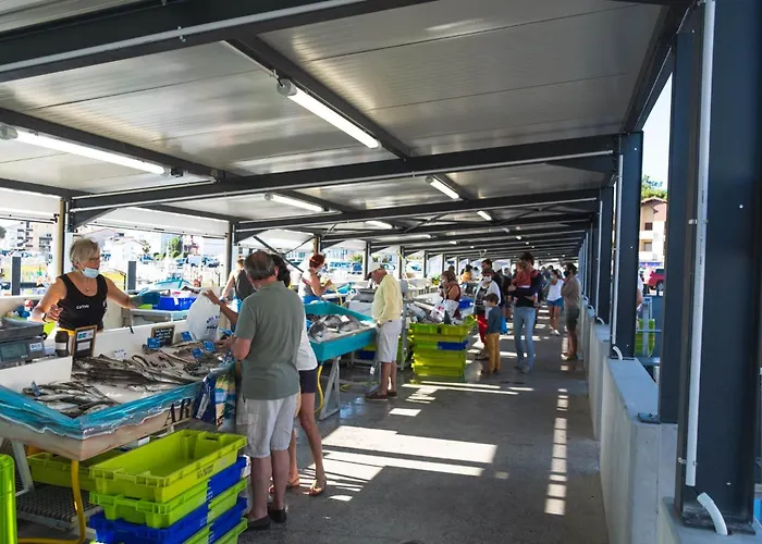 Renovee, * Seignosse