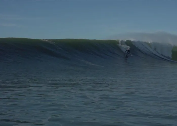 Renovee, Ferienhaus Seignosse