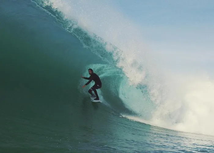 Renovee, * Seignosse